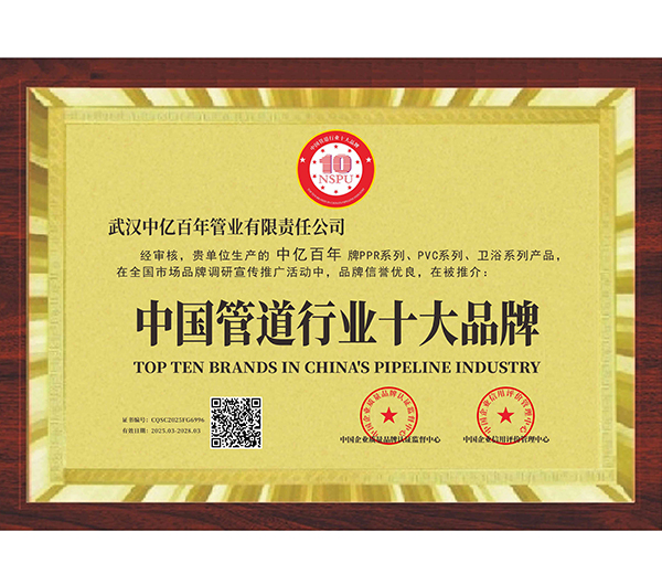 中国管道行业十大品牌证书